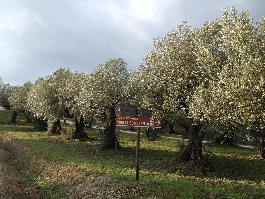 Podere Schioppello Casale Con Appartamenti Privati Cibottola Szoba fotó