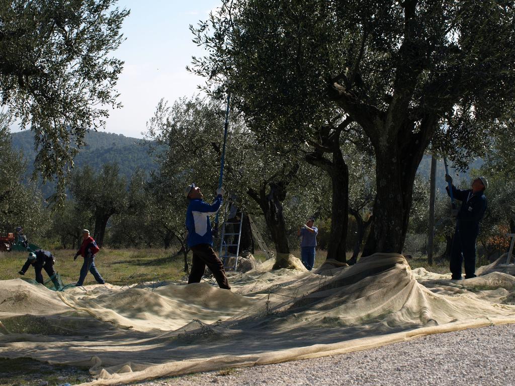 Podere Schioppello Casale Con Appartamenti Privati Cibottola Kültér fotó
