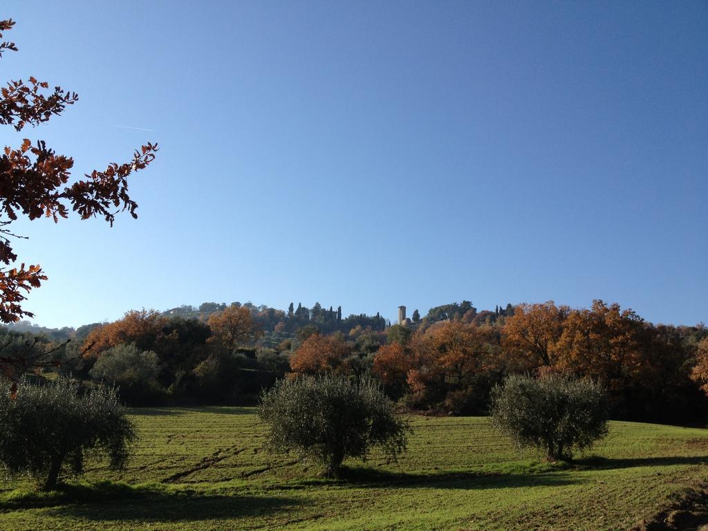 Podere Schioppello Casale Con Appartamenti Privati Cibottola Kültér fotó