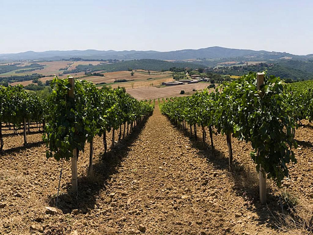 Podere Schioppello Casale Con Appartamenti Privati Cibottola Kültér fotó