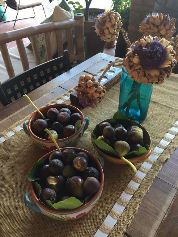 Podere Schioppello Casale Con Appartamenti Privati Cibottola Kültér fotó