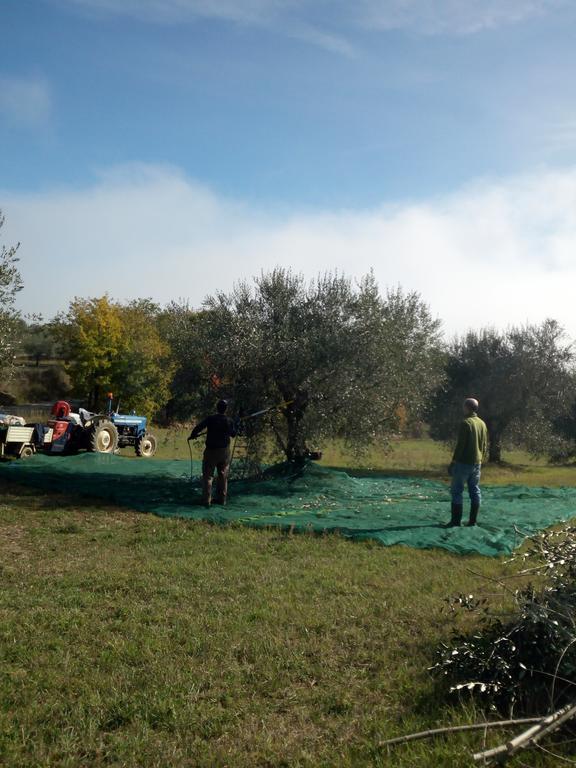 Podere Schioppello Casale Con Appartamenti Privati Cibottola Kültér fotó